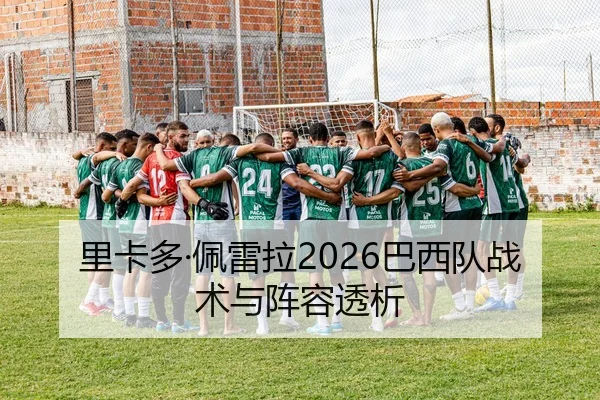 里卡多·佩雷拉2026巴西队战术与阵容透析 | leyu